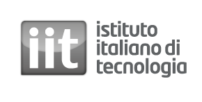 iit_official_logo